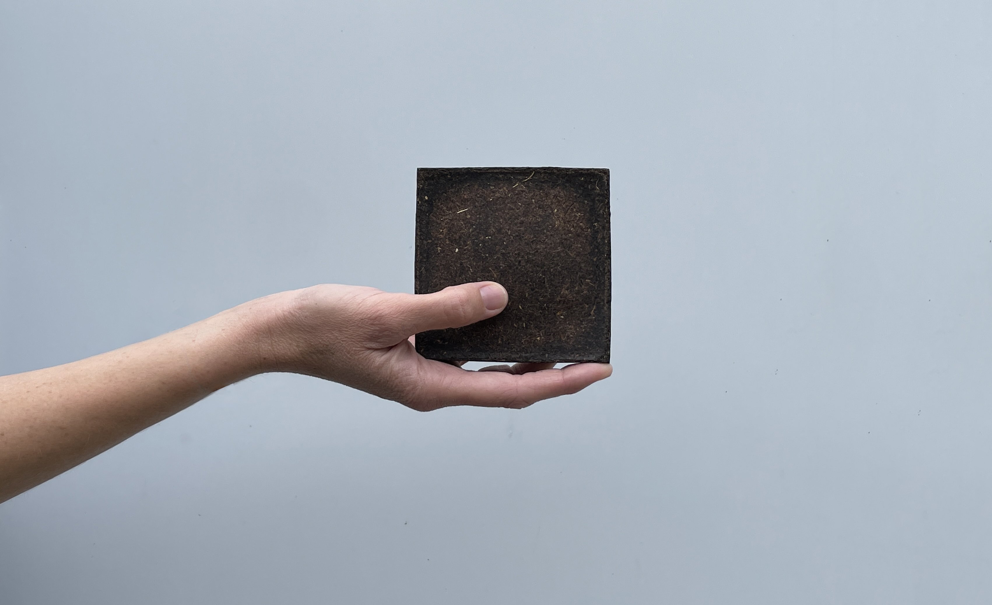 WHYNUT_IMAGE 1_material sample